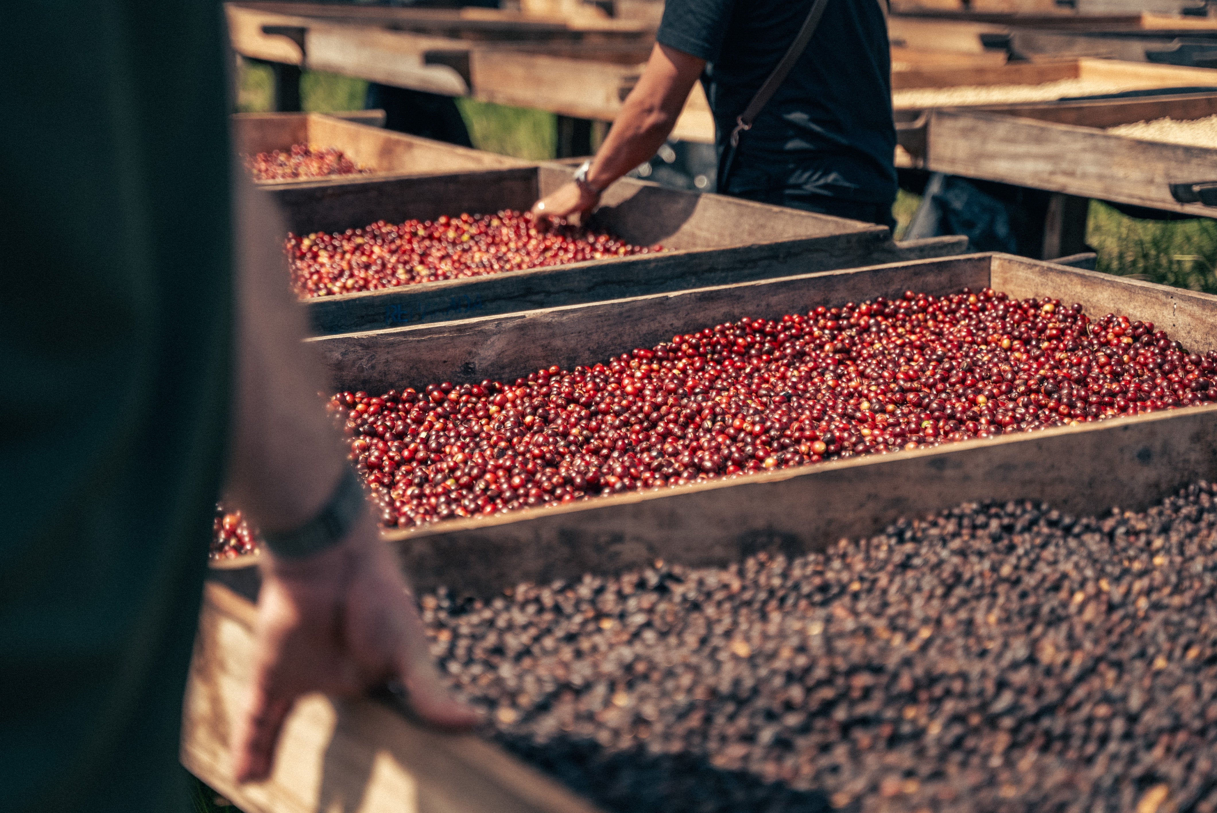 Seasonal Range – Kickback Coffee