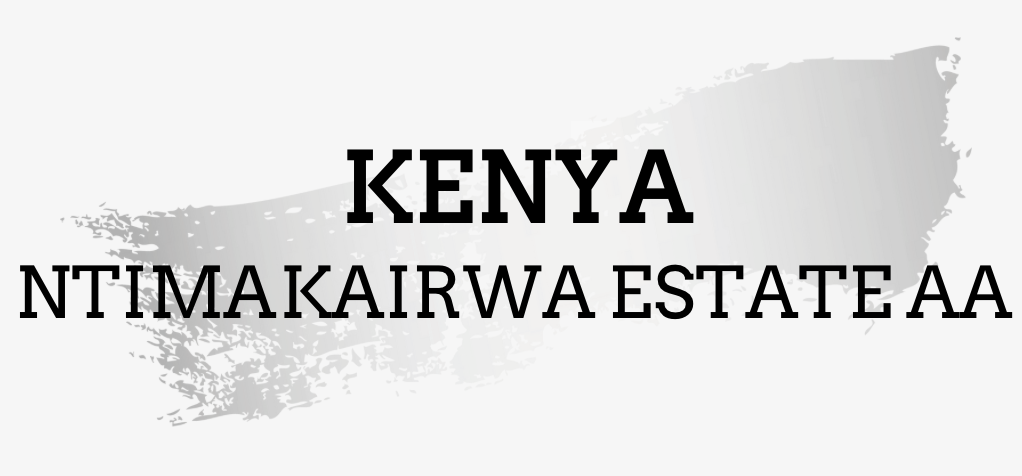 Kenya - Ntimakairwa Estate AA