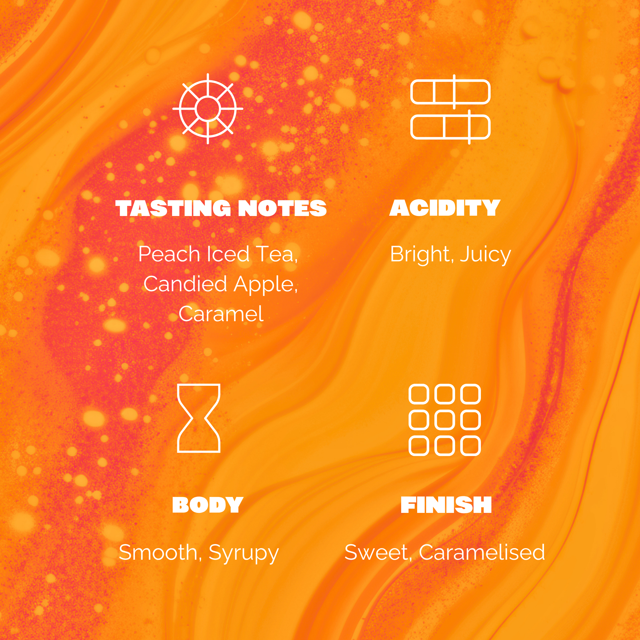 The Summer Blend