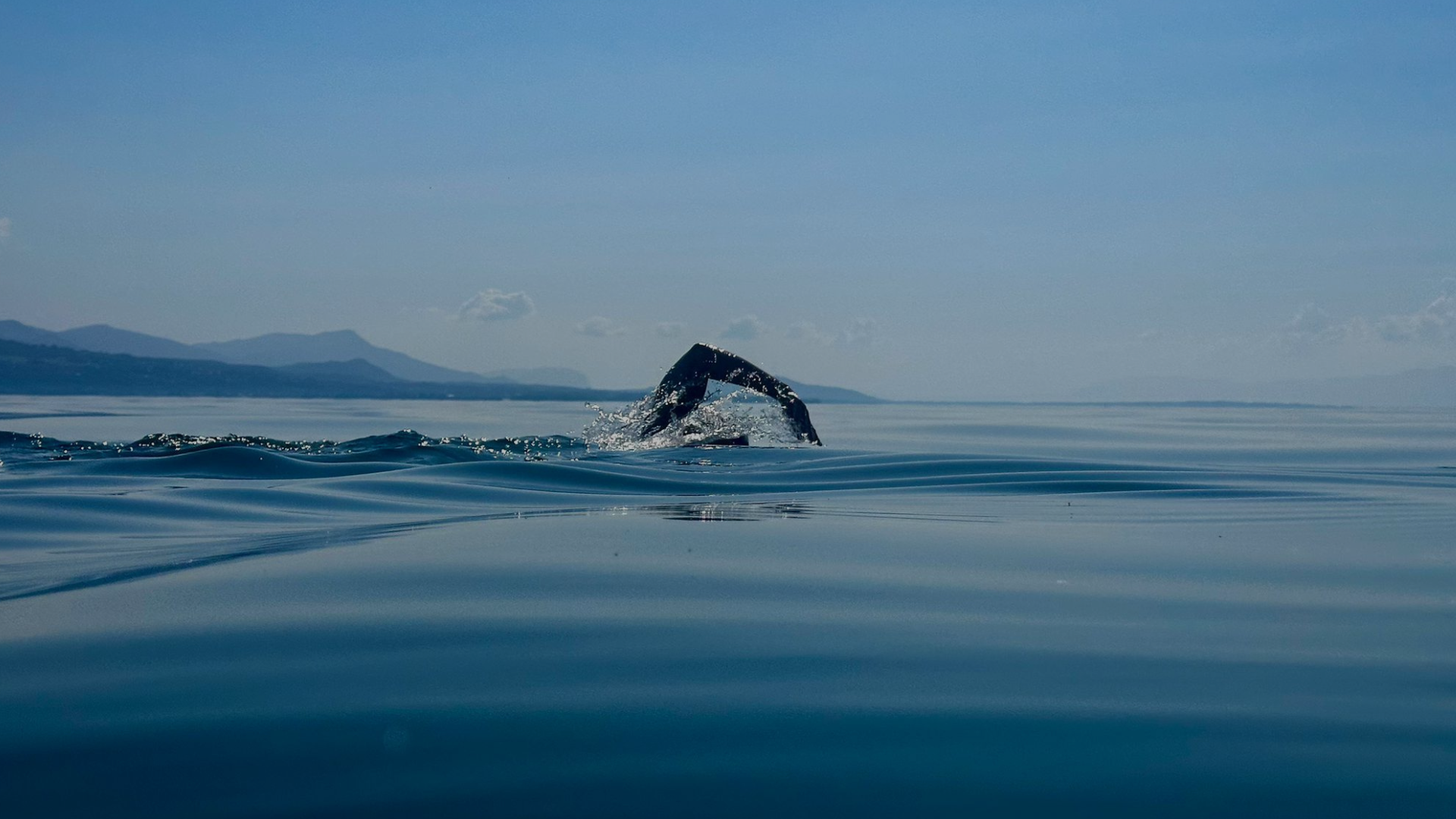 Journey into the Outdoors #14 – Sam Farrow