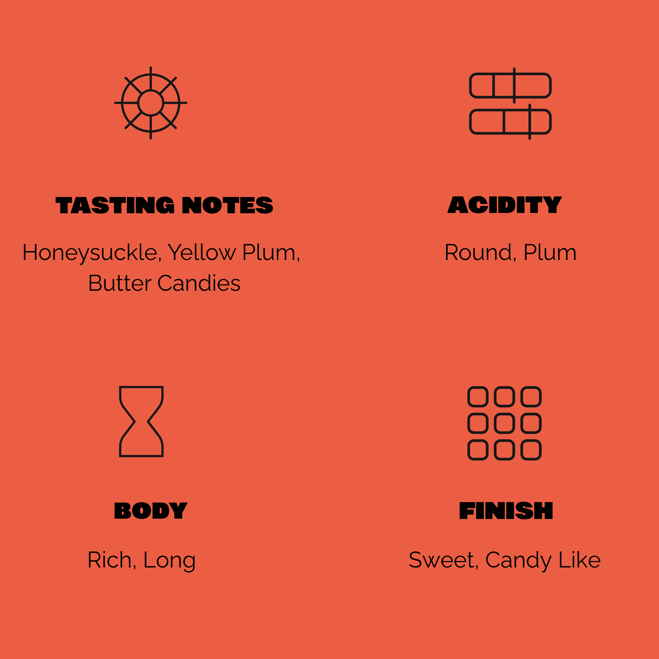 Finca Mirasol - Nicaragua