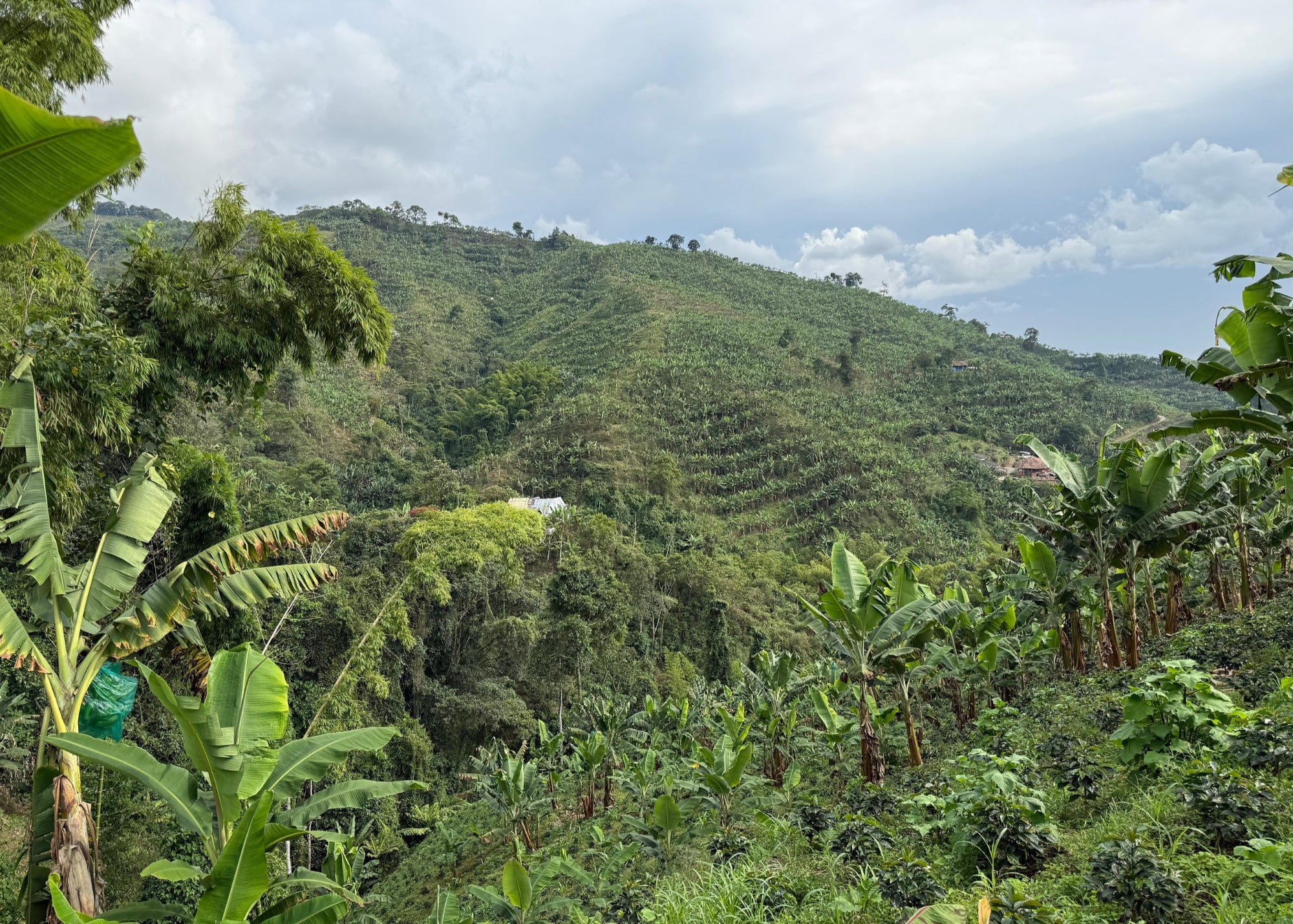 Hilly landscape with greenery and a cloudy sky
