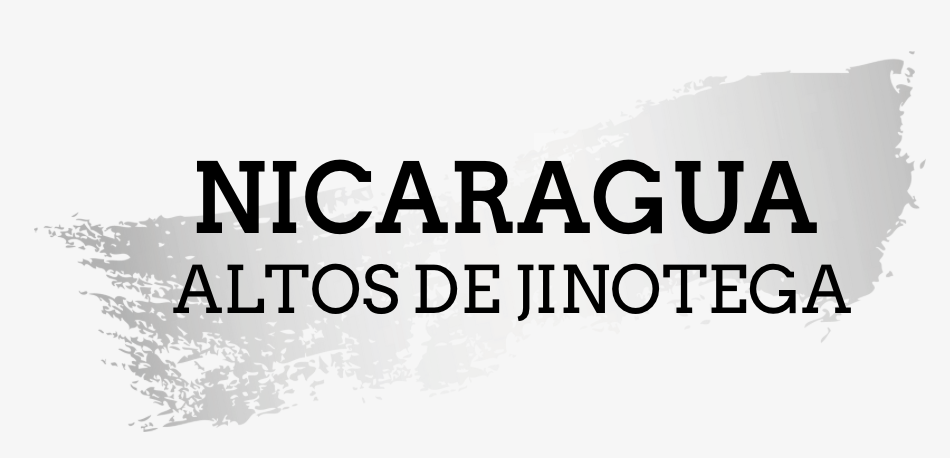 Nicaragua - Altos de Jinotega