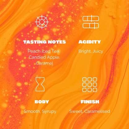 The Summer Blend