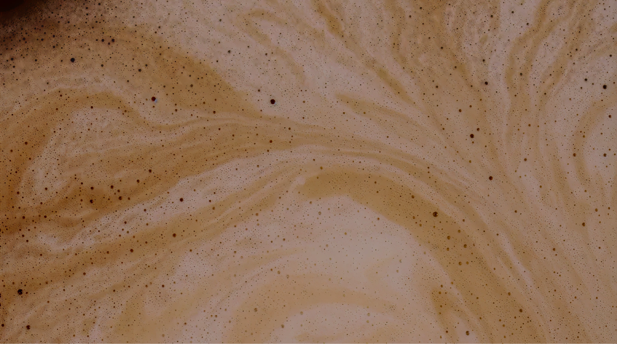 CTA Background Image